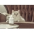 Mascota Świeca zapachowa neutralizująca zapach zwierząt Amber Bamboo
